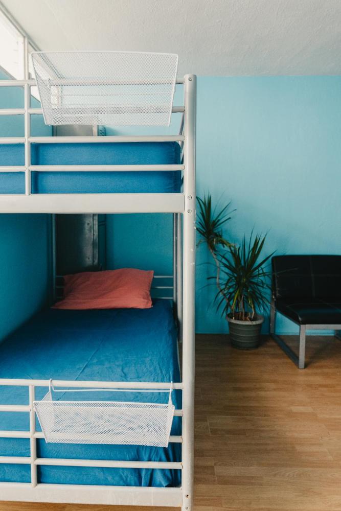 Single Bed in Mixed Dormitory Room interior